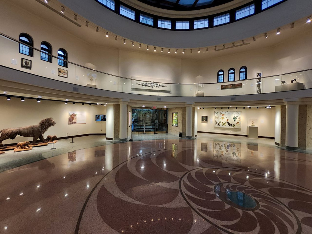 gallery