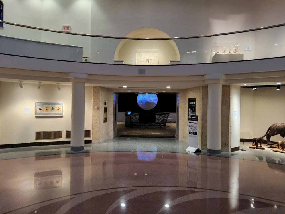 gallery